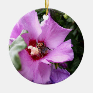 Bumblebee on Hibiscus Flower Ceramic Tree Decoration