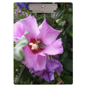 Bumblebee on Hibiscus Flower Clipboard