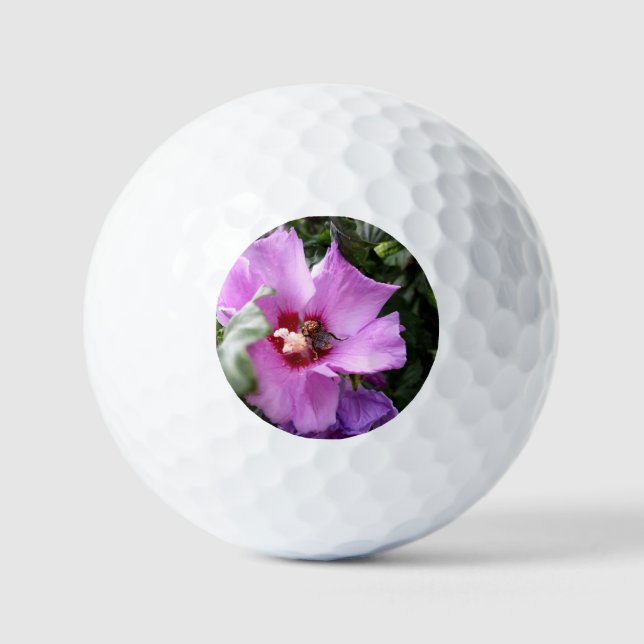 Bumblebee on Hibiscus Flower Golf Balls (Front)