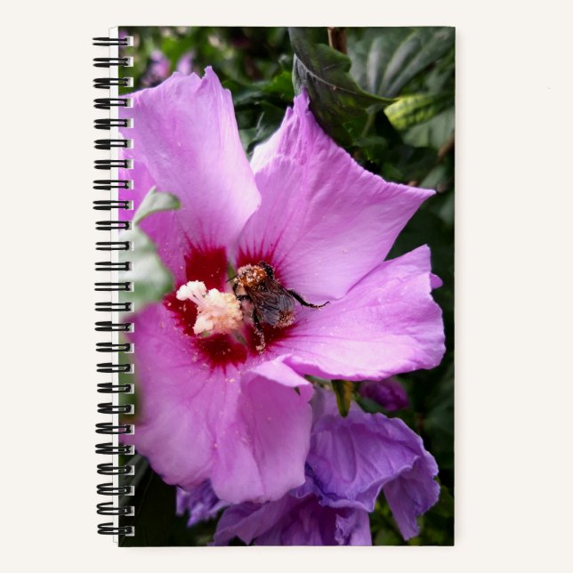 Bumblebee on Hibiscus Flower Notebook (Front)