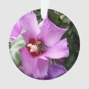 Bumblebee on Hibiscus Flower Ornament