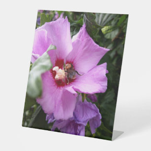 Bumblebee on Hibiscus Flower Pedestal Sign