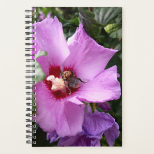 Bumblebee on Hibiscus Flower Planner
