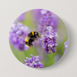 Bumblebee On Lavender  7.5 Cm Round Badge