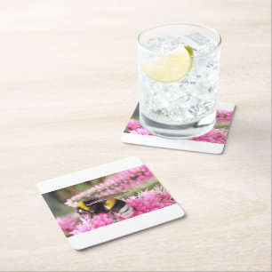 Bumblebee on Pink Blossoms Coaster