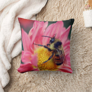 Bumblebee On Pink Daisy Flower Close Up  Cushion