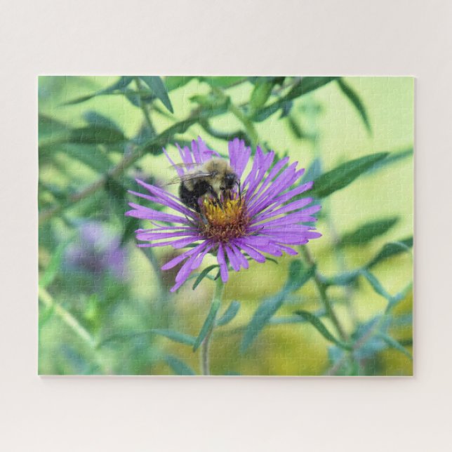 Bumblebee on Purple Daisy Jigsaw Puzzle (Horizontal)