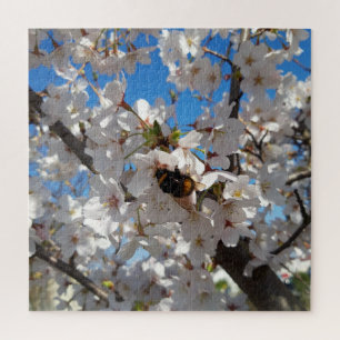 Bumblebee on wild cherry bloom jigsaw puzzle