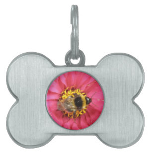Bumblebee Pet Tag
