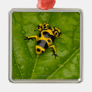 Bumblebee Poison Dart Frog Metal Tree Decoration
