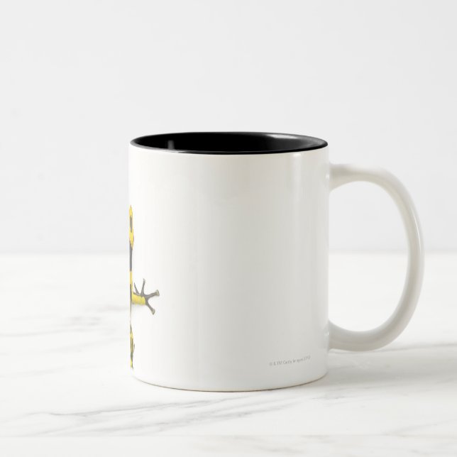 Bumblebee Poison Dart Frog Two-Tone Coffee Mug (Right)