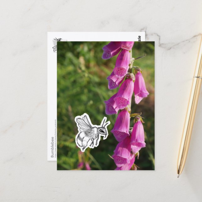 Bumblebee Postcard (Front/Back In Situ)