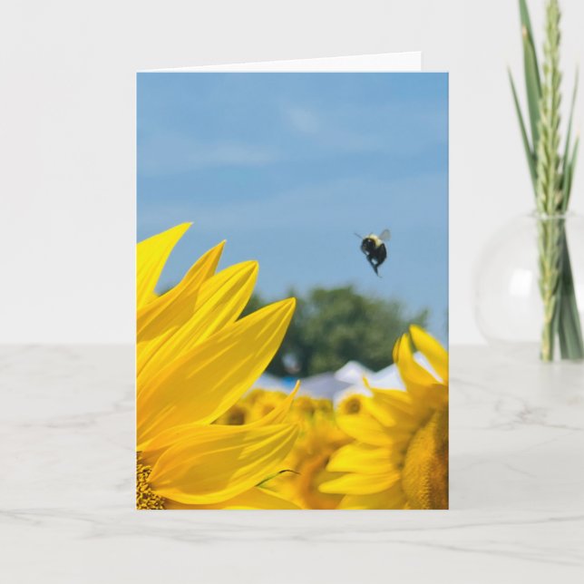 Bumblebee Sunflower Photography Blank Card (Front)