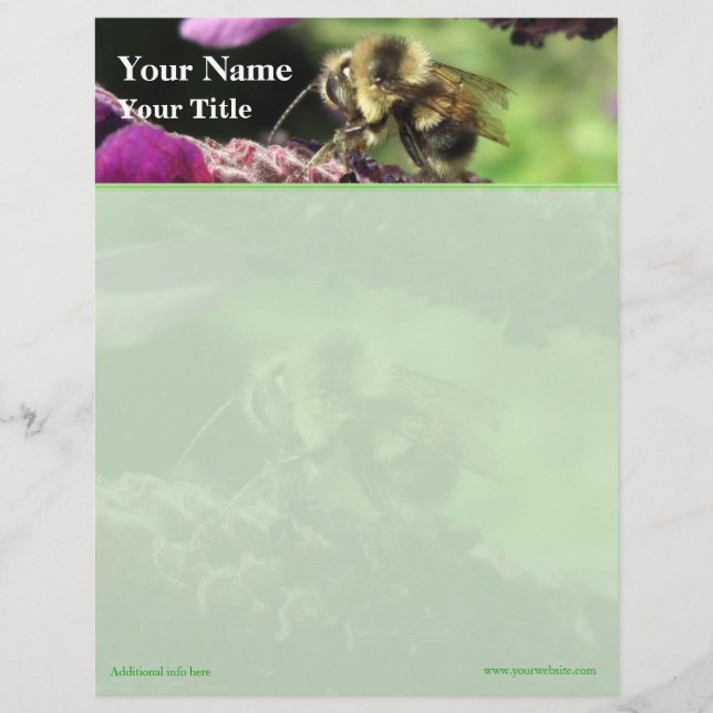 Bumblebee Top Border Letterhead Design (Front)