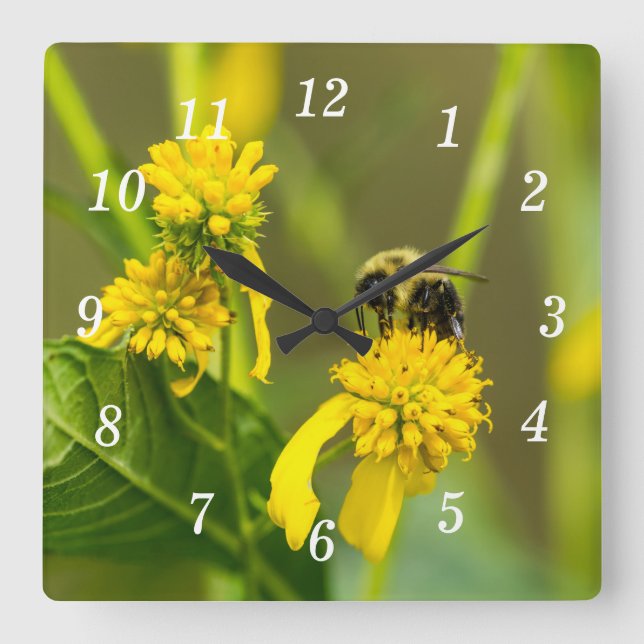 Bumblebee Wall Clock (Front)