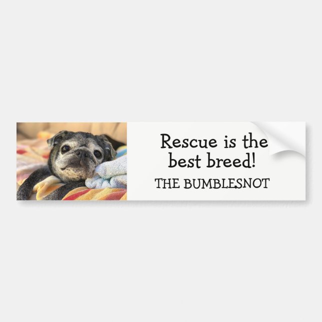 Bumblesnot bumper sticker: Rescue is best breed! Sticker (Front)