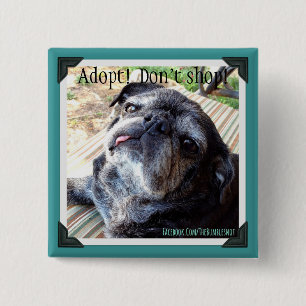 Bumblesnot Button: Adopt! Don't shop! 15 Cm Square Badge