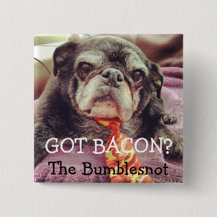 Bumblesnot button: Got bacon? 15 Cm Square Badge