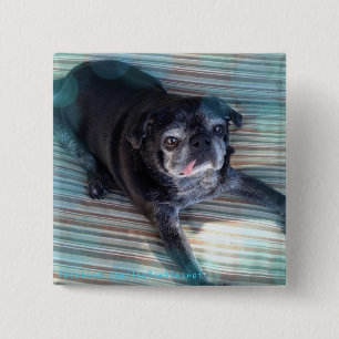 Bumblesnot button: Pug in Blue 15 Cm Square Badge
