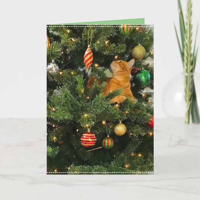 Bumblesnot: Christmas Card "The Orange Kitty" (Front)