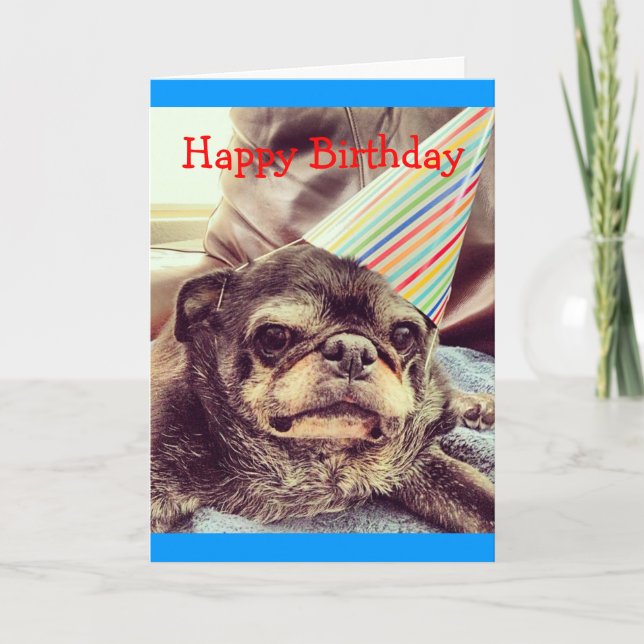 Bumblesnot greeting card: Happy Birthday Card (Front)