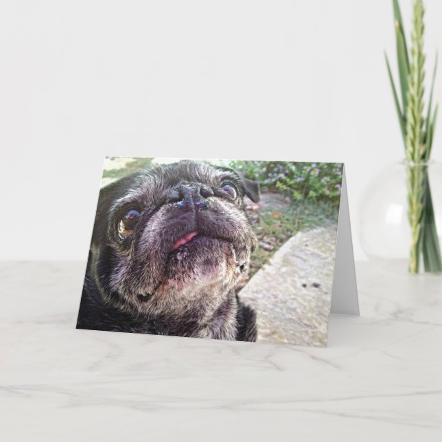 Bumblesnot Greeting Card: Looking Up Card (Front)