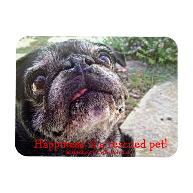 Bumblesnot magnet: Happiness is a rescued pet! Magnet (Horizontal)