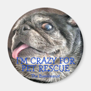 Bumblesnot magnet: I'm Crazy for Pet Rescue Magnet