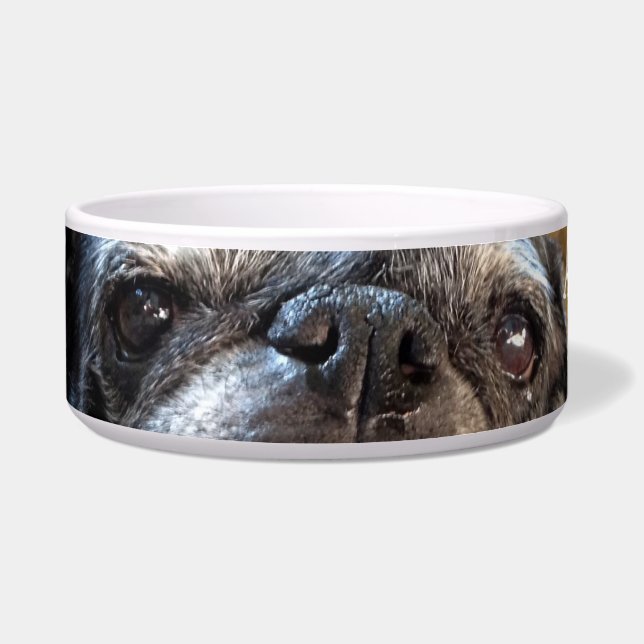 Bumblesnot Pet Food Bowl (Front)