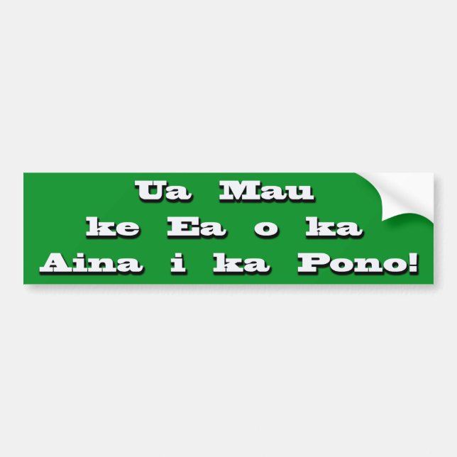 bumpah stickah bumper sticker (Front)
