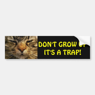 Bumper Cat  Don't Grow Up Meme Bumper Sticker