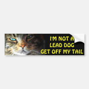 Bumper Cat is Not A Lead Dog Sticker