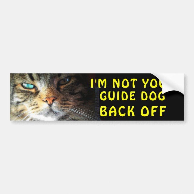 Bumper Cat is Not Your Guide Dog Sticker (Front)