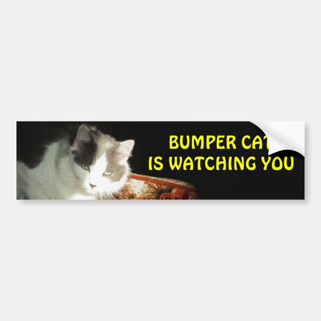 Bumper Cat is watching 2 Bumper Sticker (Front)