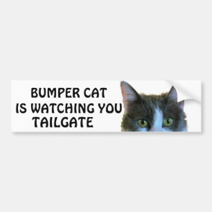 Bumper Cat is watching  Meme TAILGATE 28 Sticker