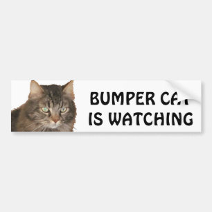 Bumper Cat is watching Sticker