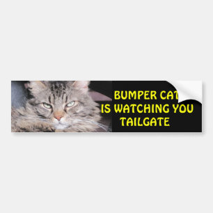 Bumper Cat is watching TAILGATE 12 Sticker