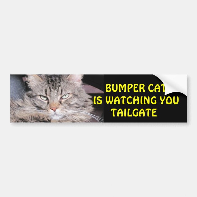 Bumper Cat is watching TAILGATE 12 Sticker (Front)