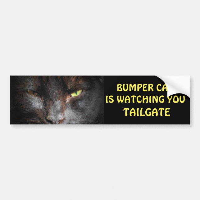 Bumper Cat is watching TAILGATE 19 Sticker (Front)