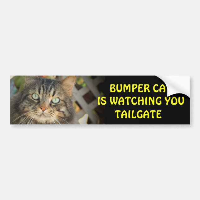 Bumper Cat is watching TAILGATE 20 Bumper Sticker (Front)