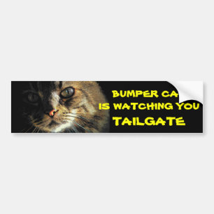 Bumper Cat is watching TAILGATE 23 Bumper Sticker