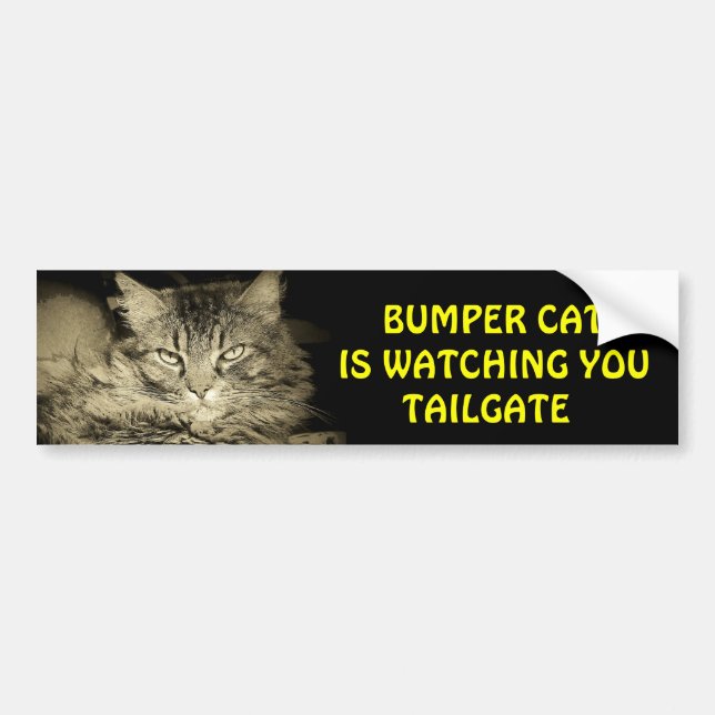 Bumper Cat is watching TAILGATE 24 Bumper Sticker (Front)