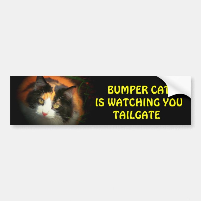 Bumper Cat is watching TAILGATE 26 Sticker (Front)