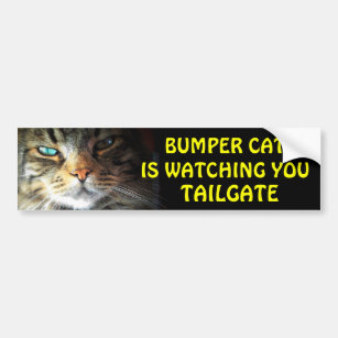 Bumper Cat is watching TAILGATE 2.5 Bumper Sticker