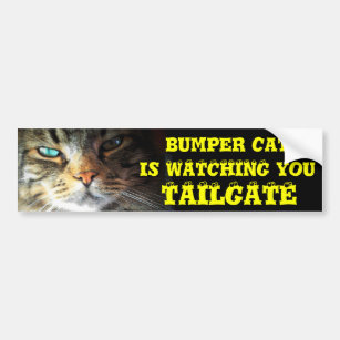 Bumper Cat is watching TAILGATE 2 (eyeball font) Bumper Sticker