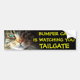 Bumper Cat is watching TAILGATE 2 (new font) Bumper Sticker