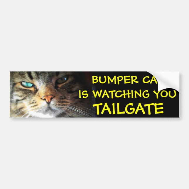 Bumper Cat is watching TAILGATE 2 (new font) Bumper Sticker (Front)
