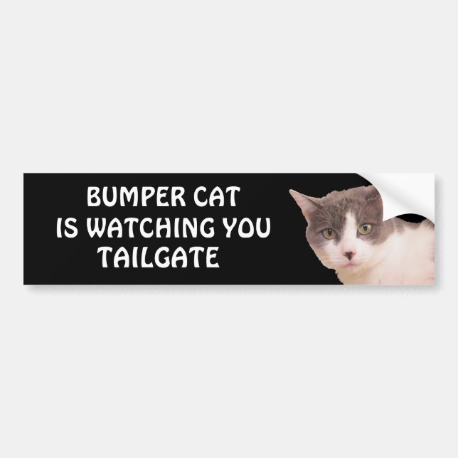 Bumper Cat is watching TAILGATE 33 Sticker (Front)