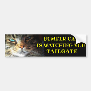 Bumper Cat is watching TAILGATE 41 Meme Bumper Sticker