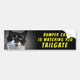 Bumper Cat is watching TAILGATE 46 Sticker
